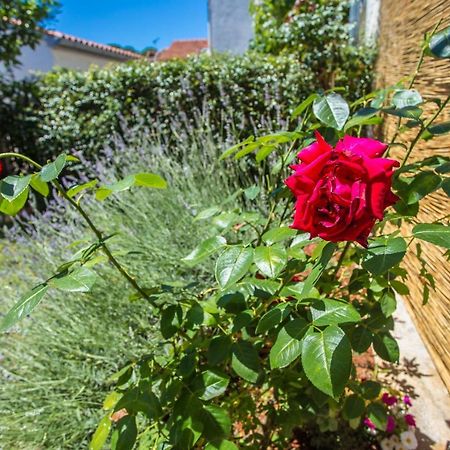 Apartment Rosse Poreč Eksteriør billede